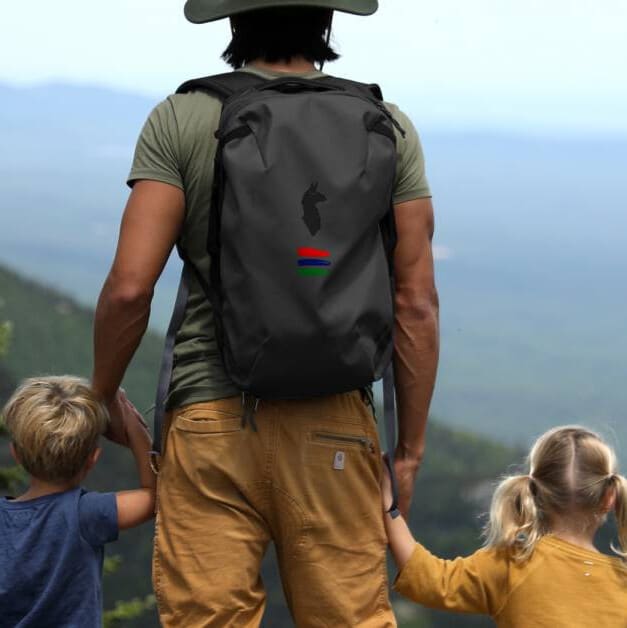 Dad hiking with his kids